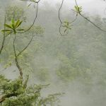 Catarata del Toro/Costa Rica