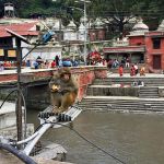 Pashupatinath Temple/Kathmandu/Nepal